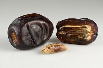 Mazafati dates